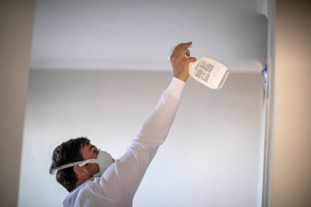 Best DIY Mold Remediation Support Services in Sandwich, IL